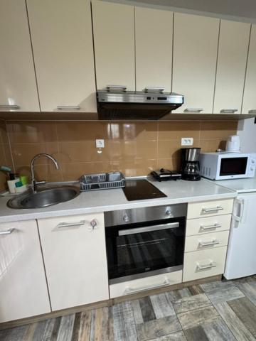 Apartments Paradise Licko Petrovo Selo Exterior photo