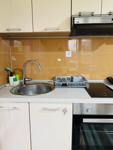 Apartments Paradise Licko Petrovo Selo Exterior photo