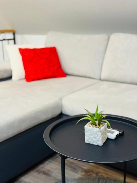 Apartments Paradise Licko Petrovo Selo Exterior photo
